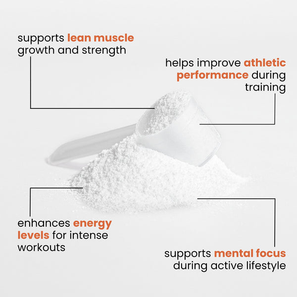 Creatine Monohydrate