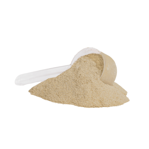 Plant Protein (Vanilla)